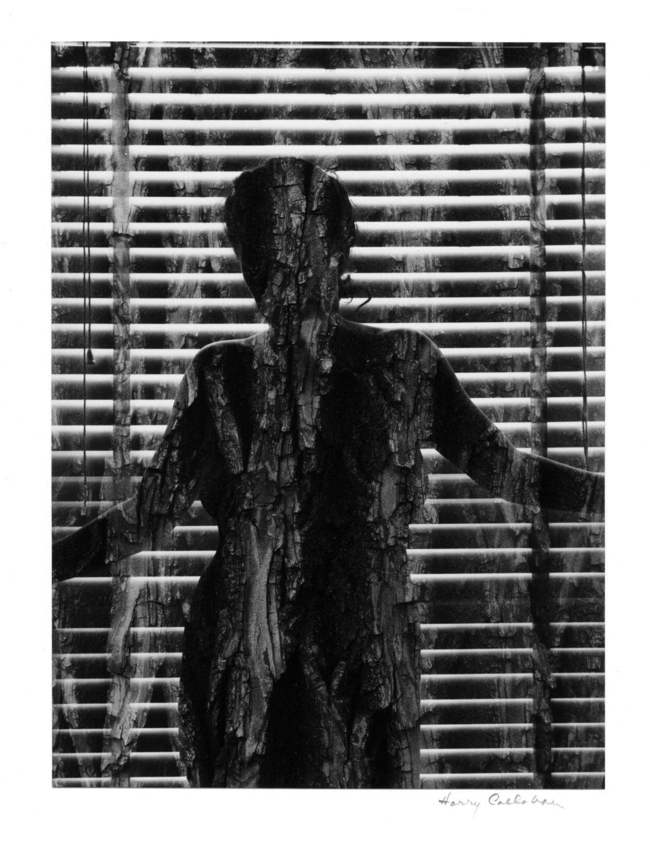 June 6: 100 days Etherton Gallery June 6 (copy)